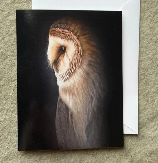 PORTRAIT OF A BARN OWL - Note Card