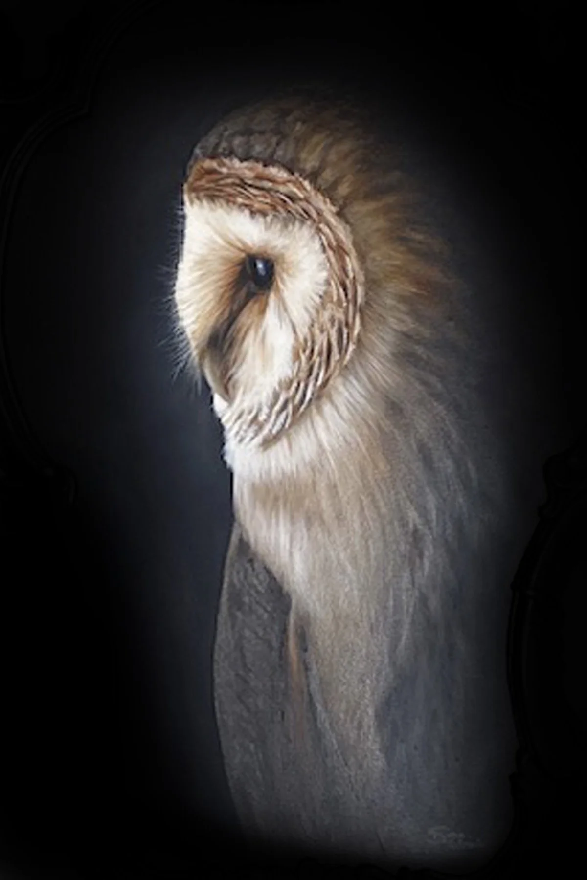 vista portrait.jpg