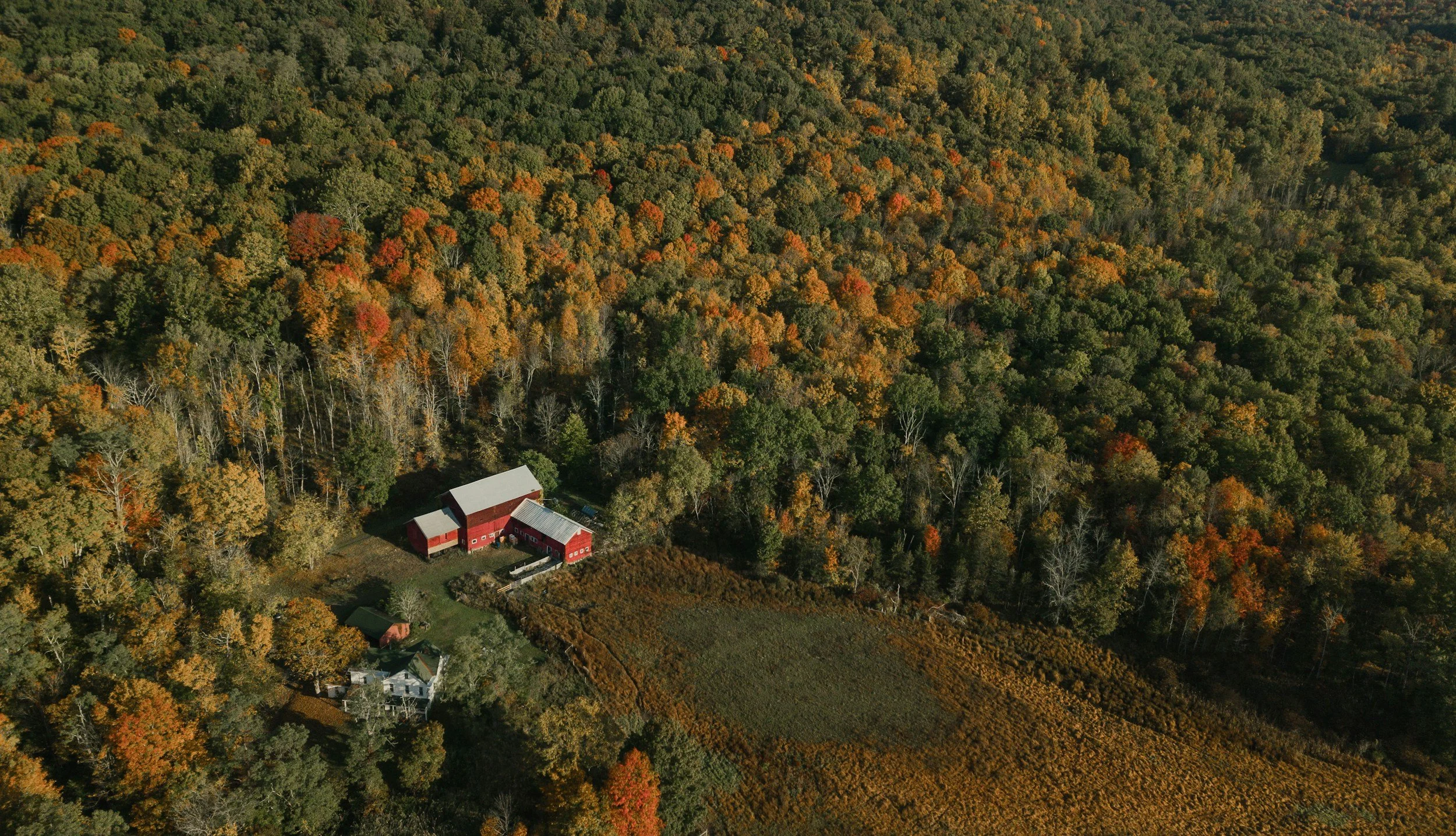 Aerial view of a farm with red barns surrounded by a forest with fall foliage