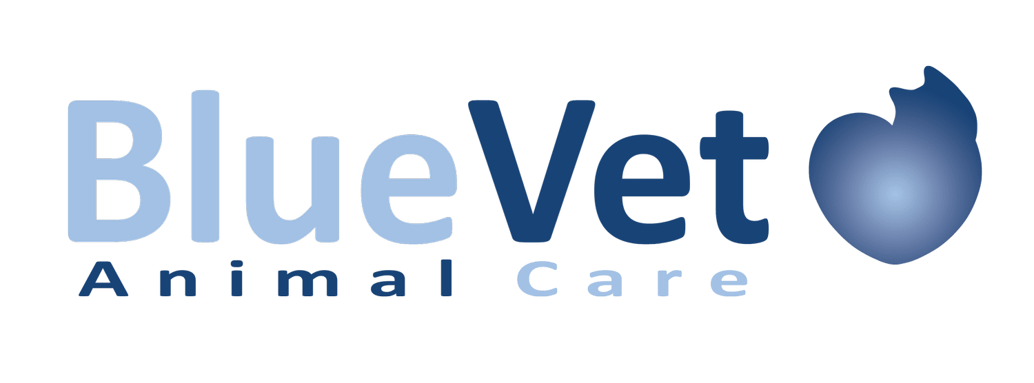Bluevet Animal Care