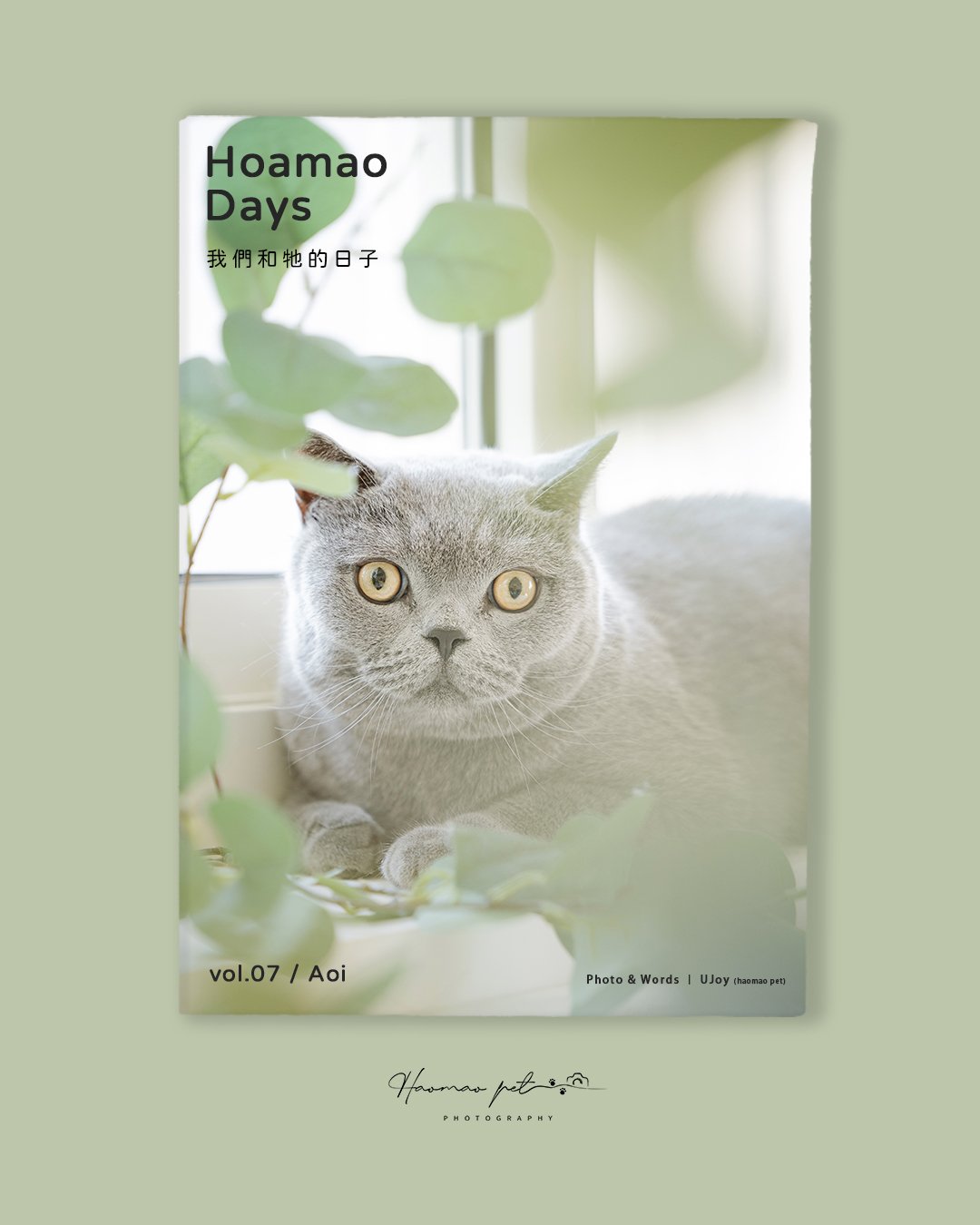 Hoamao Days vol.07 Aoi｜生活因你而改變
⁡
⁡
⁡

遇見你之後
￣￣￣￣￣￣￣￣￣￣￣￣

我開始變得更有彈性
也開始用不同角度看世界
⁡
⁡

￣￣￣￣￣￣￣￣￣￣￣￣
Hoamao Days vol.07 &mdash; Aoi
Photography / Design &mdash; @haomao_pe5
Stylist: @singer0508
Story &mdash; @wen.liao.9231

￣￣￣￣￣￣￣￣￣￣￣￣