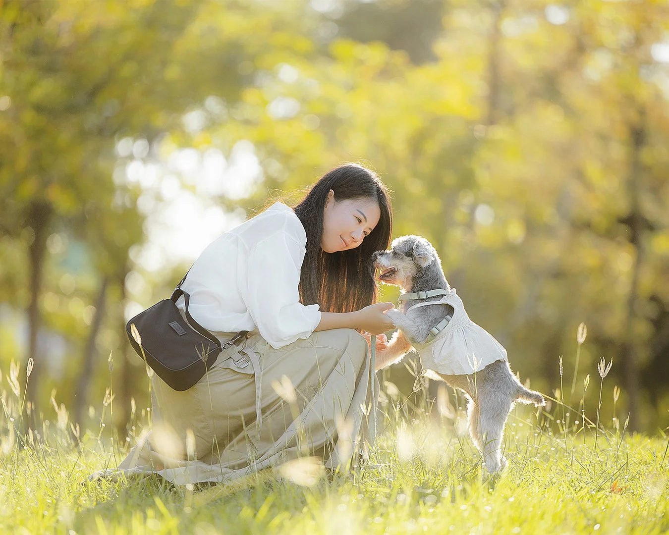 女攝影師視角｜飼主與雪納瑞在帝國糖廠的湖畔溫暖的彼此注視
