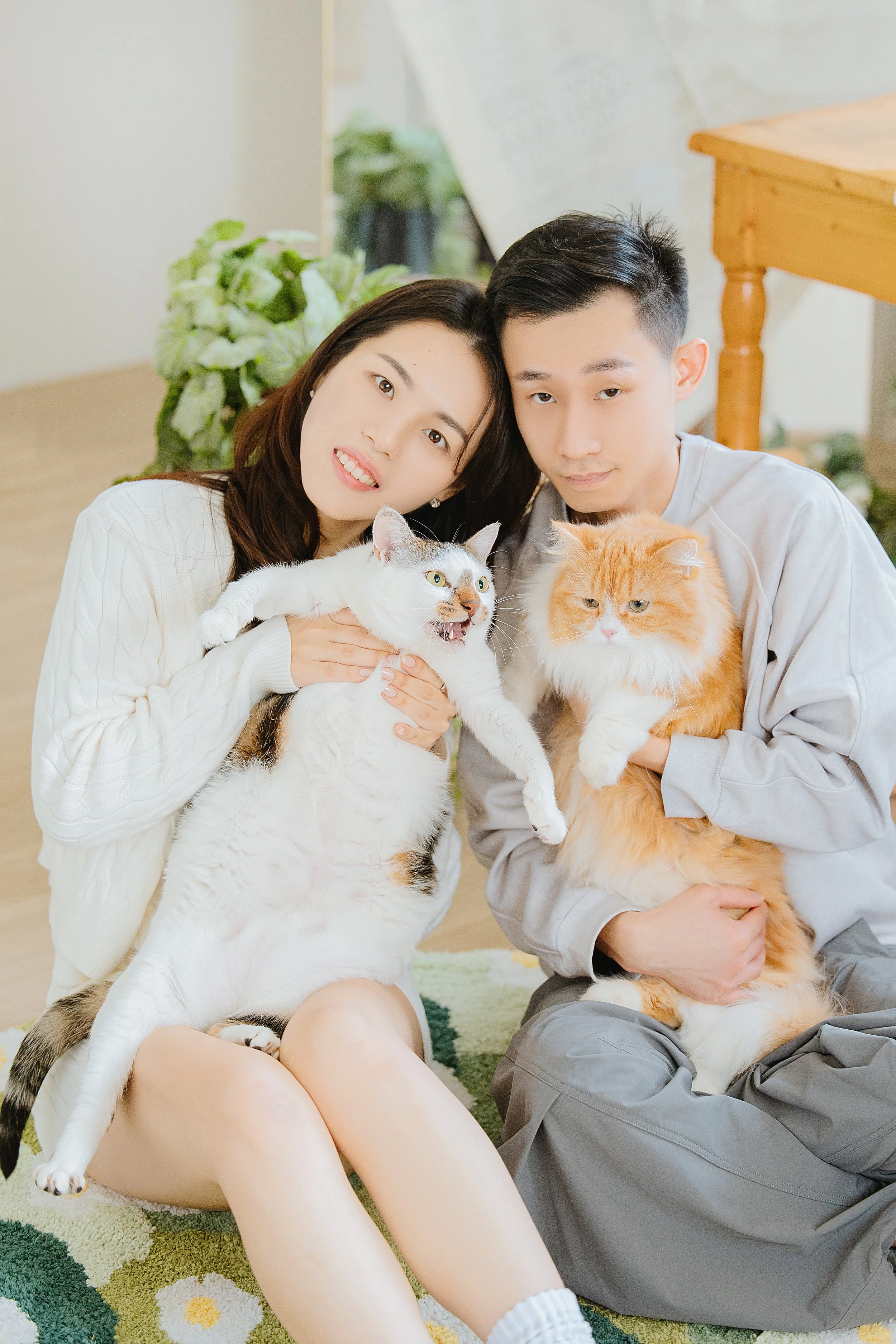 台中寵物攝影｜情侶各抱著一隻貓的開心全家福
