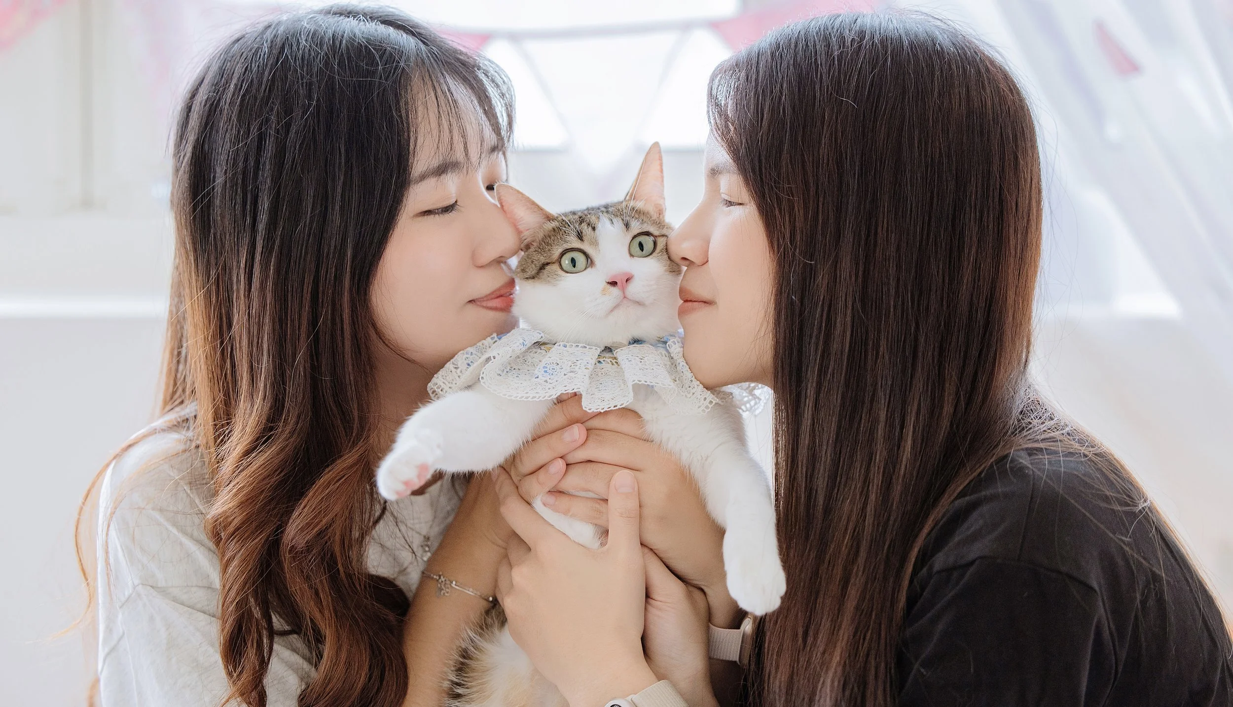 台中寵物攝影｜毛孩生日寫真，飼主親吻慶生溫馨合照