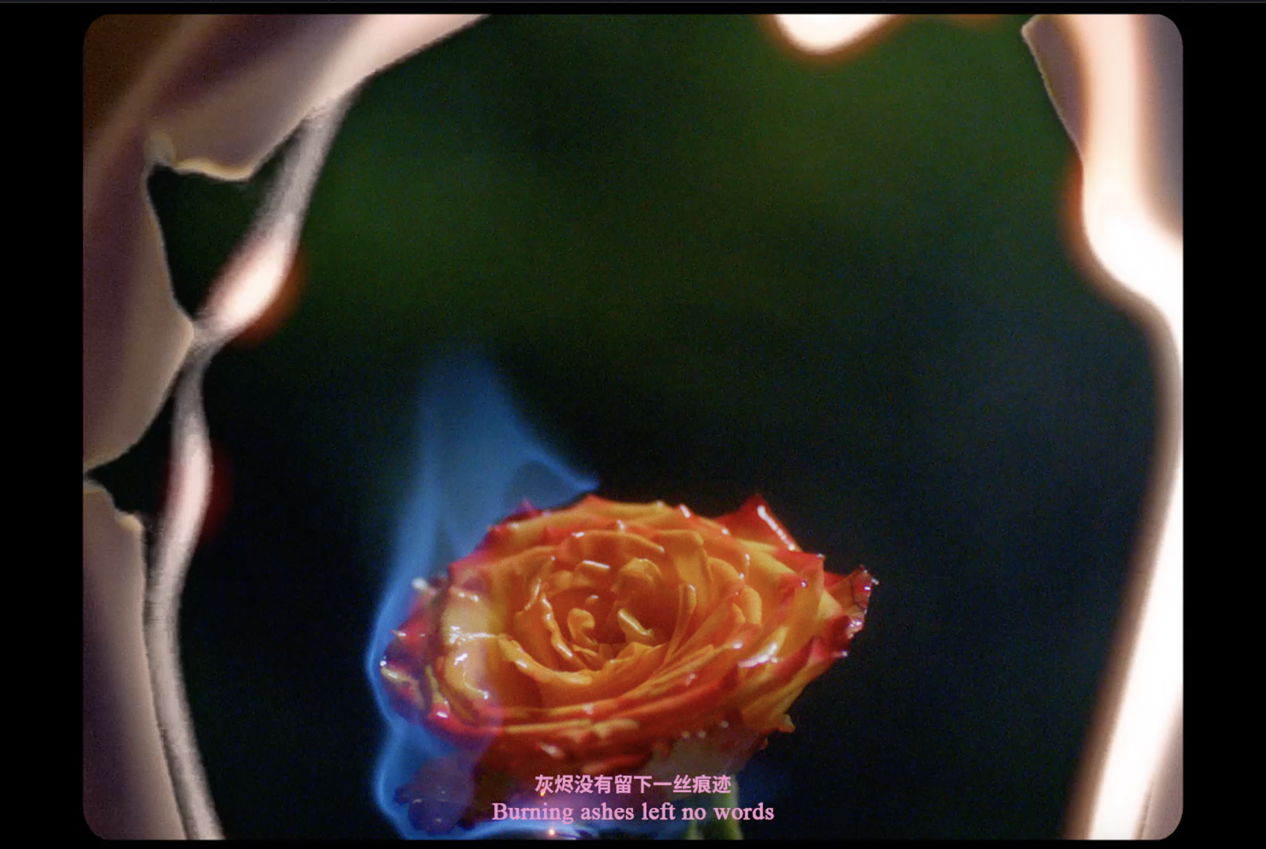 Screen Shot 2022-12-15 at 3.06.40 PM.png