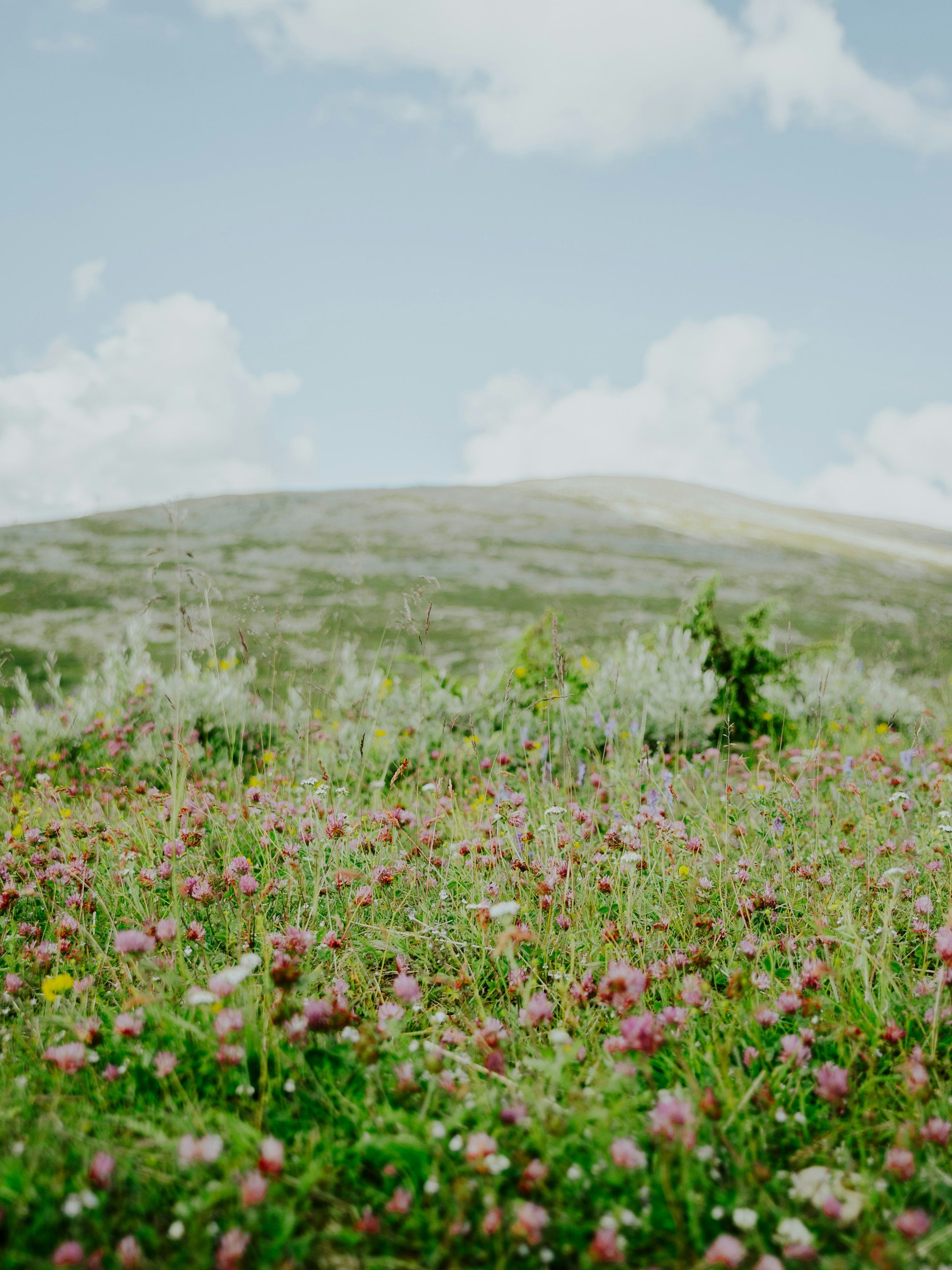 Birth Doula Indianapolis
Postpartum Doula Indianapolis, One-Day Comprehensive
Homebirth Doula Indianapolis
Christian Birth Doula
One-Day Comprehensive Childbirth Education
About Serene Doula Services
Service Areas
Contact / Schedule a Consultation