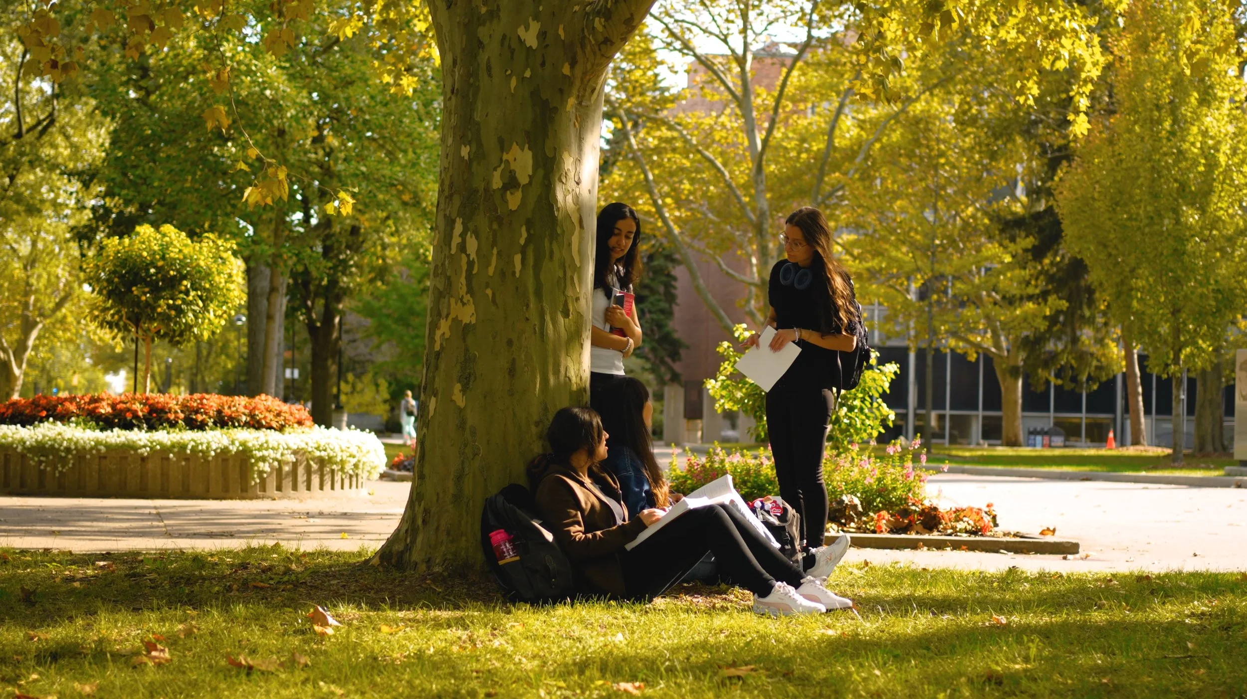 Several young people gather around a large tree in a park, some sitting on the grass and others standing, engaged in reading and conversation. The park has lush green trees and blooming flowers, with sunlight filtering through the leaves.