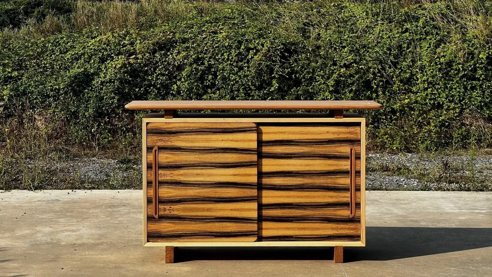 Meuble en bois avec deux portes coulissantes, placé devant un mur de végétation