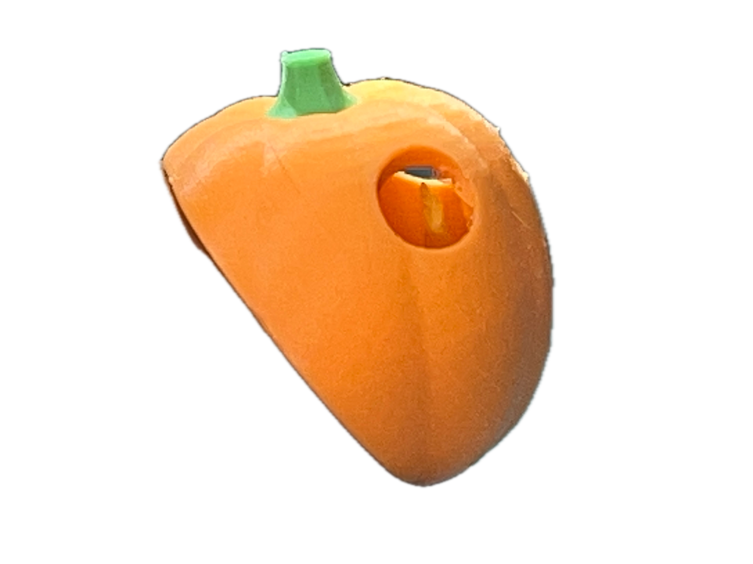 IMG_2246 Background Removed.png