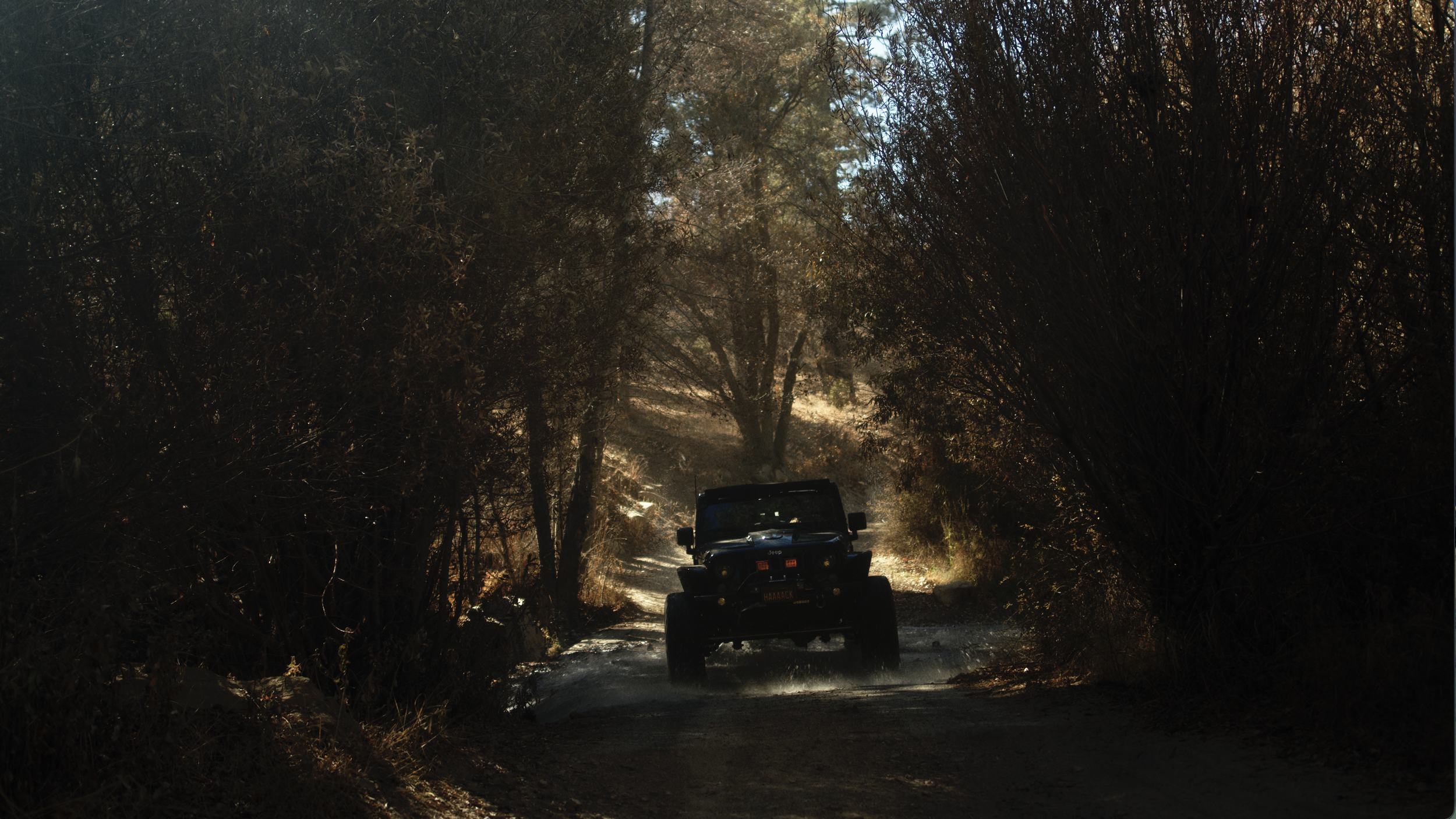 “Jeeper