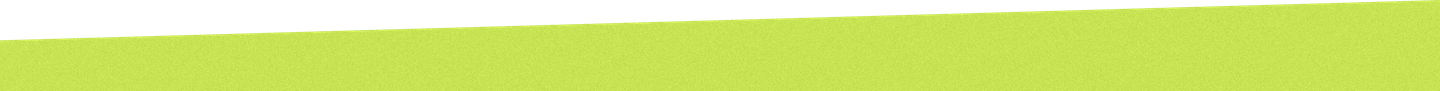 Green plant leaves with a bright yellow background