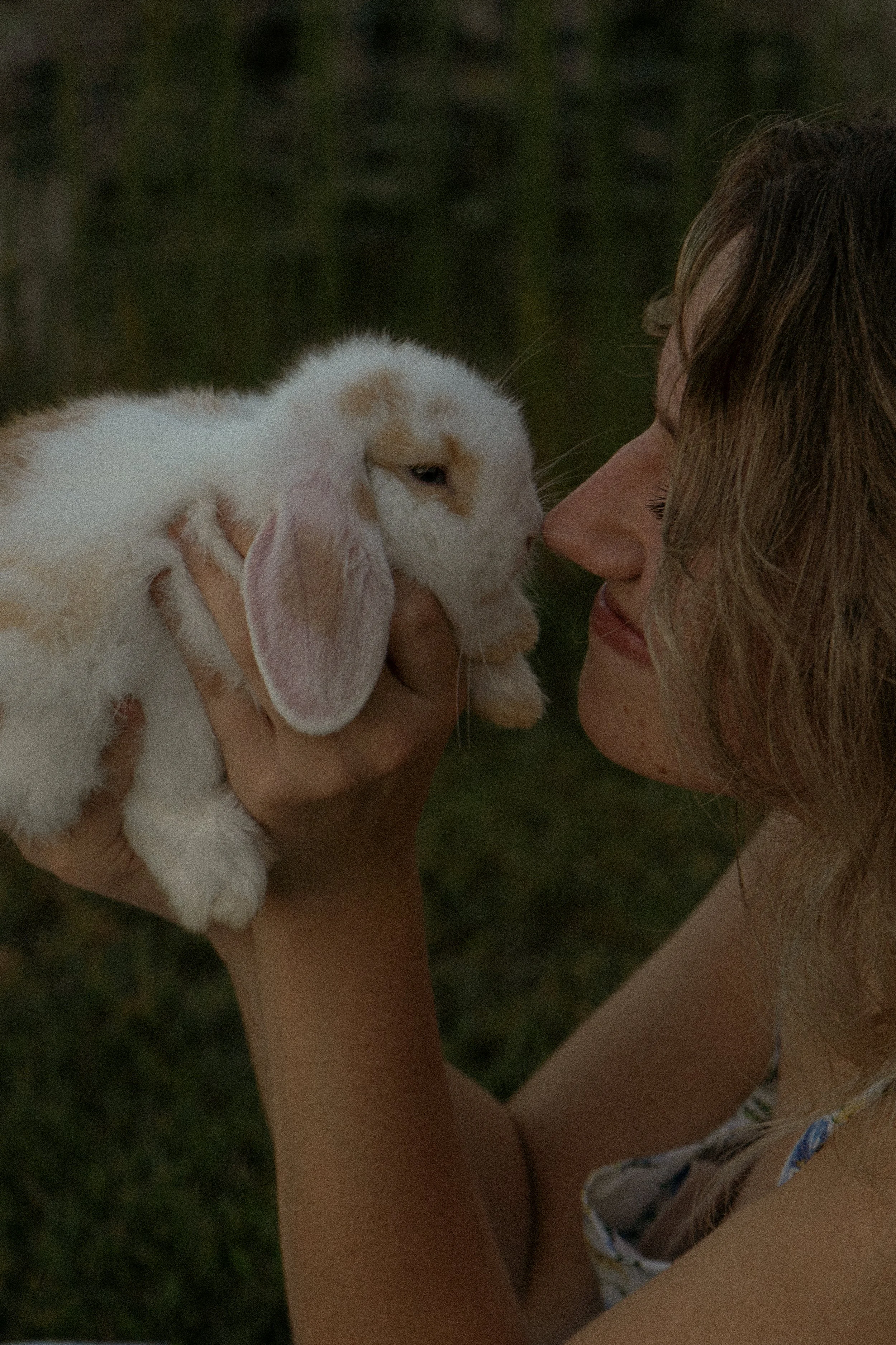 A person holding a white and tan rabbit close to their face outdoors at dusk or nighttime.