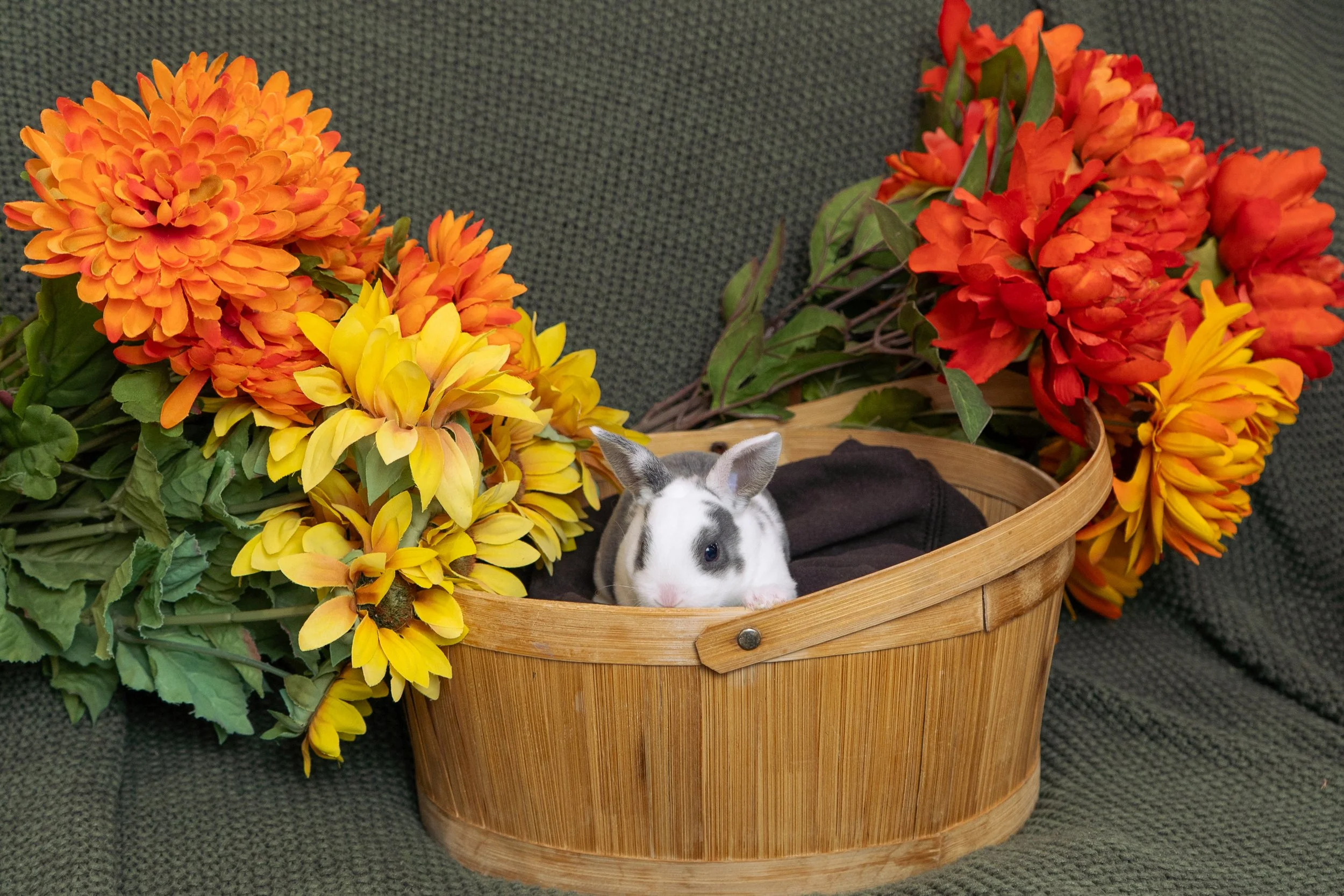 A small rabbit with black and white fur sitting in a wicker basket surrounded by orange and yellow flowers on a dark textured surface.