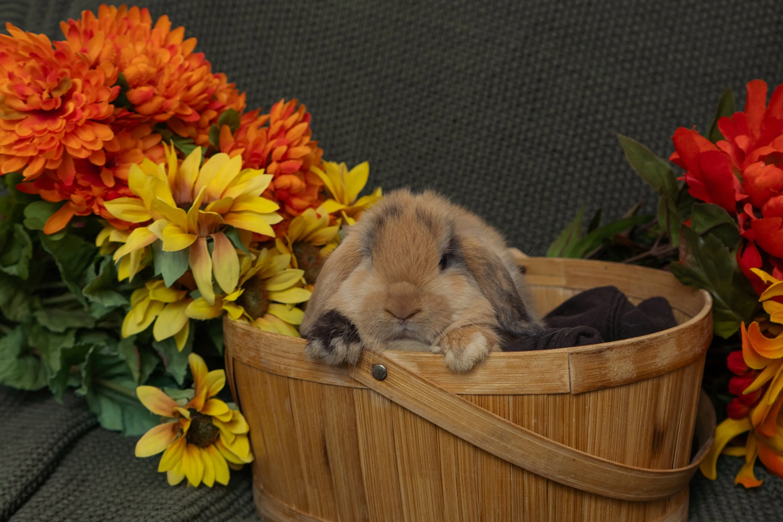 A small rabbit resting in a wicker basket surrounded by orange, yellow, and red flowers.