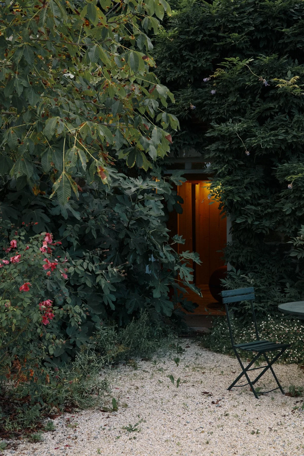 _17A8505.jpg