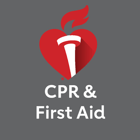 Graphic of a red heart with a medical torch and a flame, with the text 'CPR & First Aid' below.