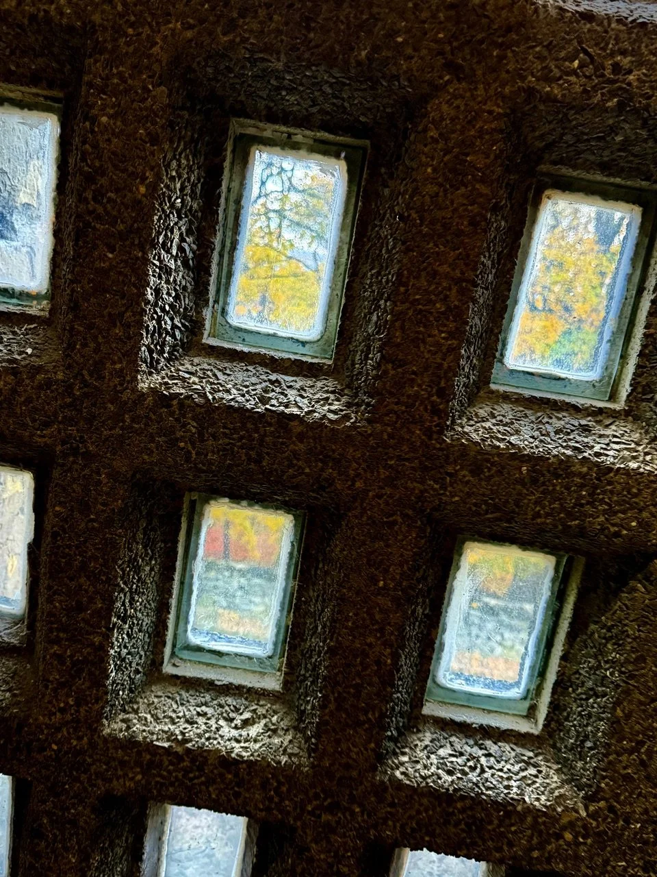 View of a brick ceiling with multiple small rectangular windows, looking up at trees with yellow and green leaves through the windows.
