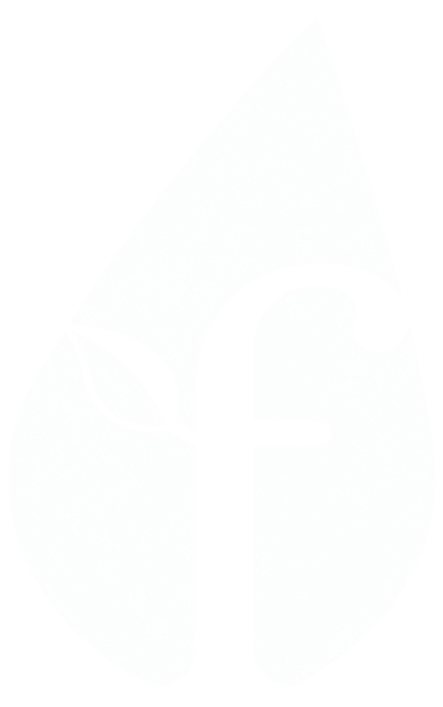 The Founder Institute Logo white