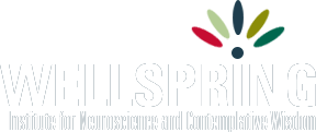 Wellspring Institute Logo