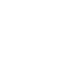 Socient for Brain Mapping & Therapeutics logo