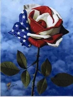 Patriotic rose petal