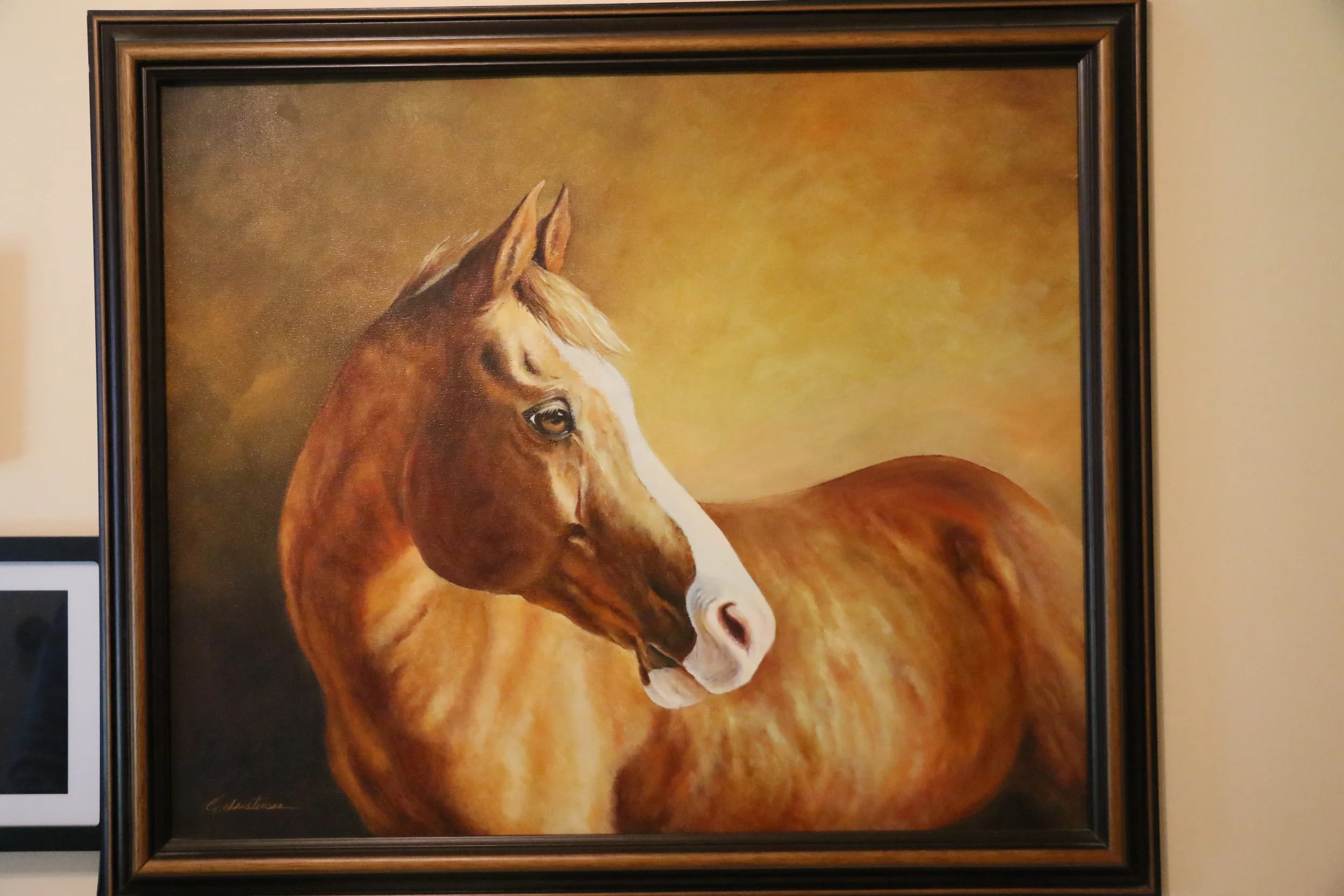 Horse 1