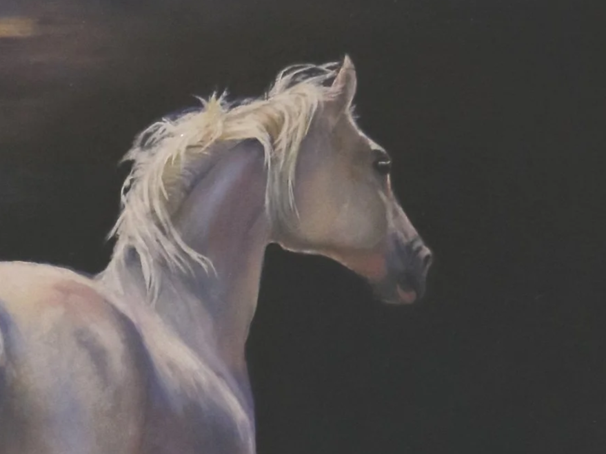 Equestrian Art