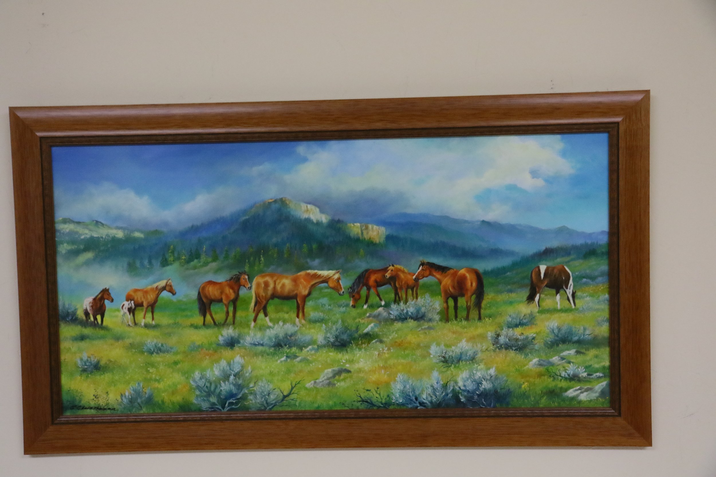 Open Range