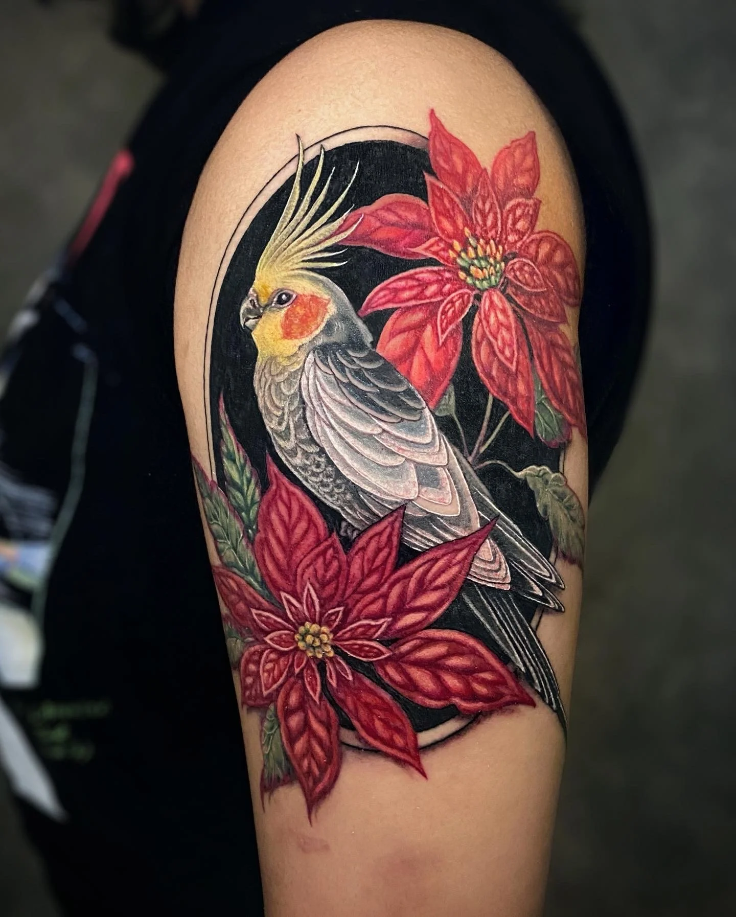 Tattoo of a cockatiel bird with gray, yellow, and orange feathers perched among red poinsettia flowers, on a person's upper arm.