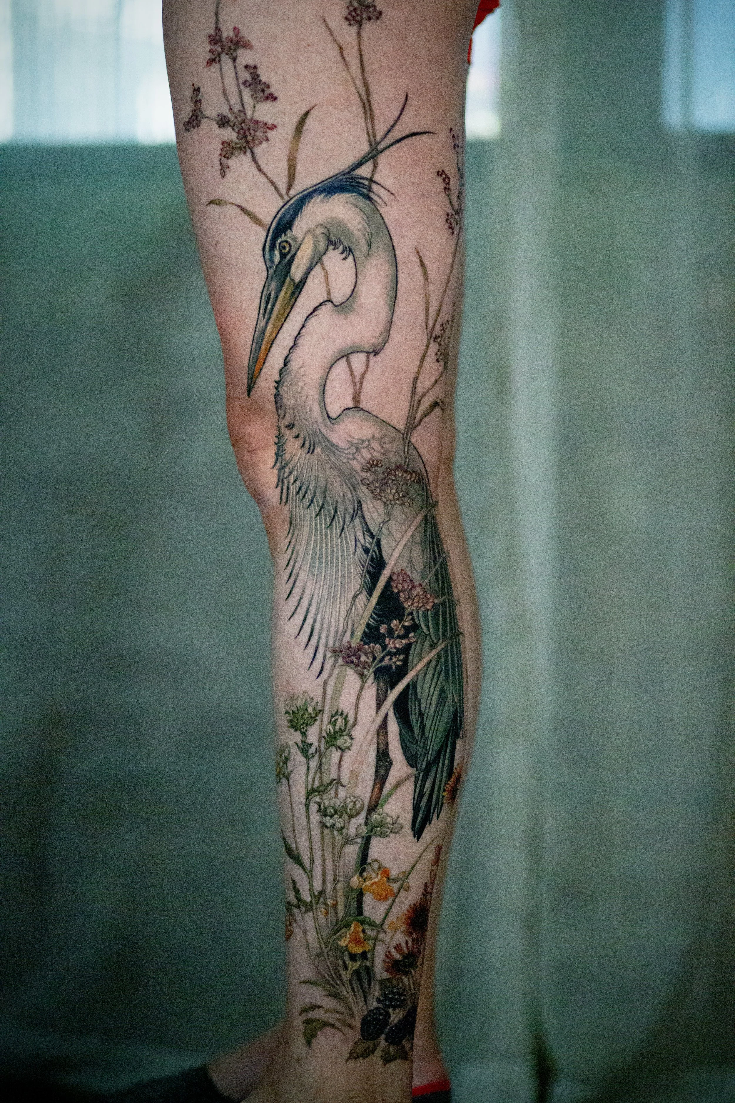 Tattoo of a heron with flowers and plants along a person's arm.