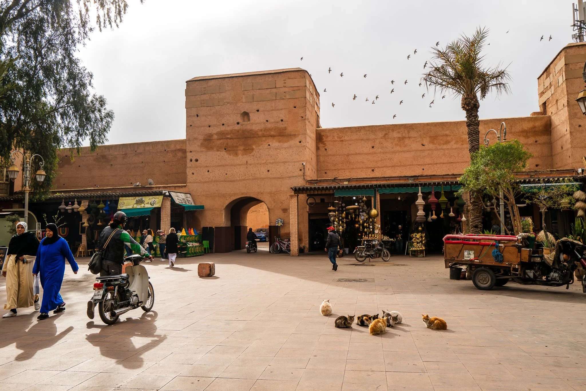L1060800.jpg
