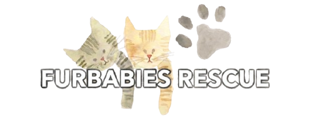 Furbabies Rescue