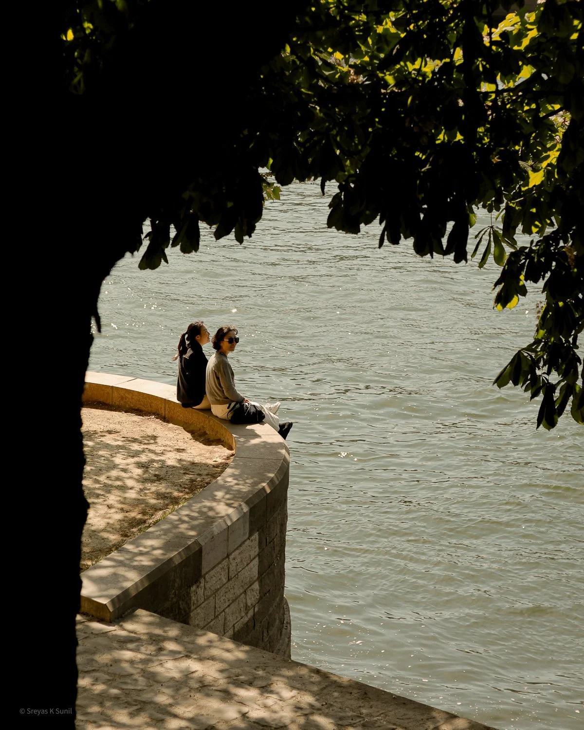 Two women sitting on a curved stone ledge by the water, framed by the shadowed branches of a large tree.