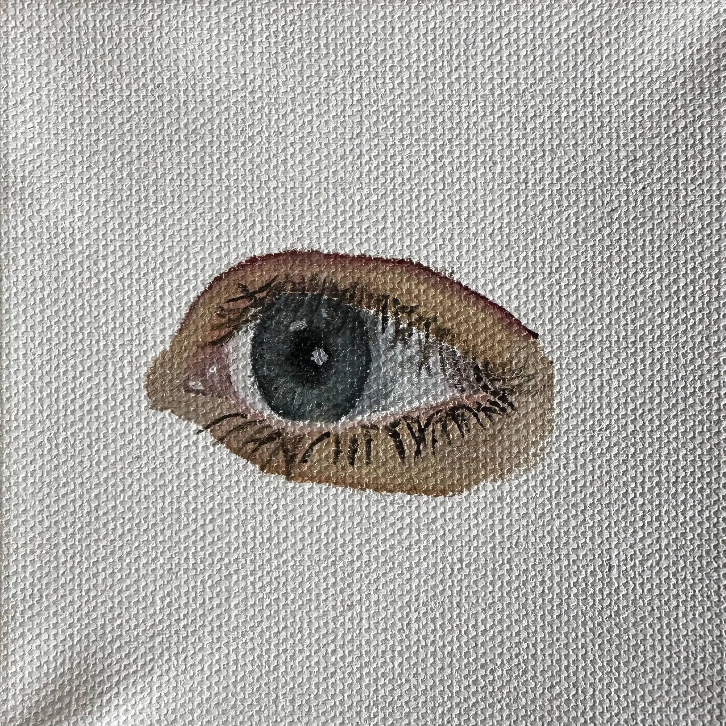 Close-up of a painted or printed eye with detailed eyelashes on textured white paper or fabric.