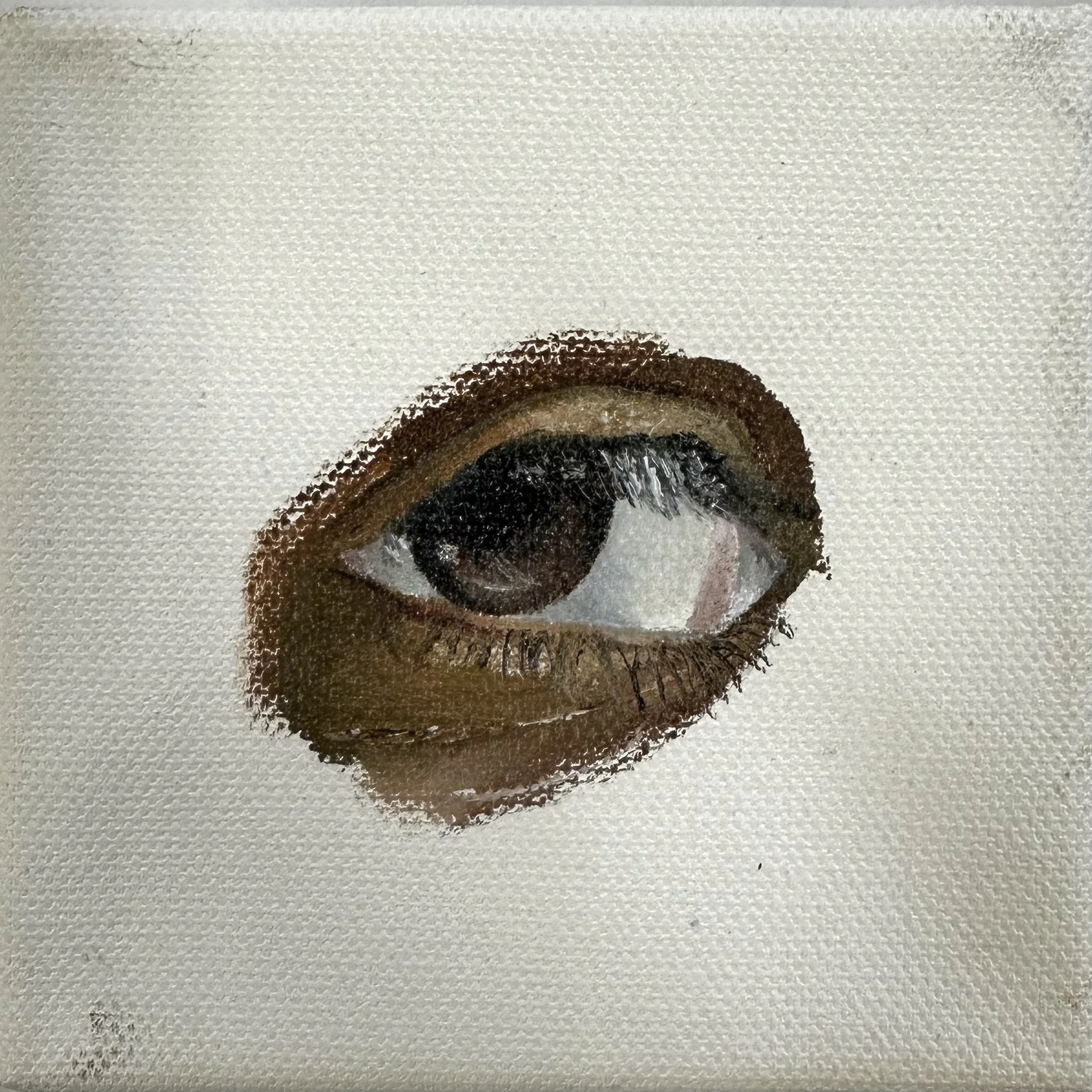 Close-up of a pair of artificial eyelashes with brown and black colors on a textured gray surface.