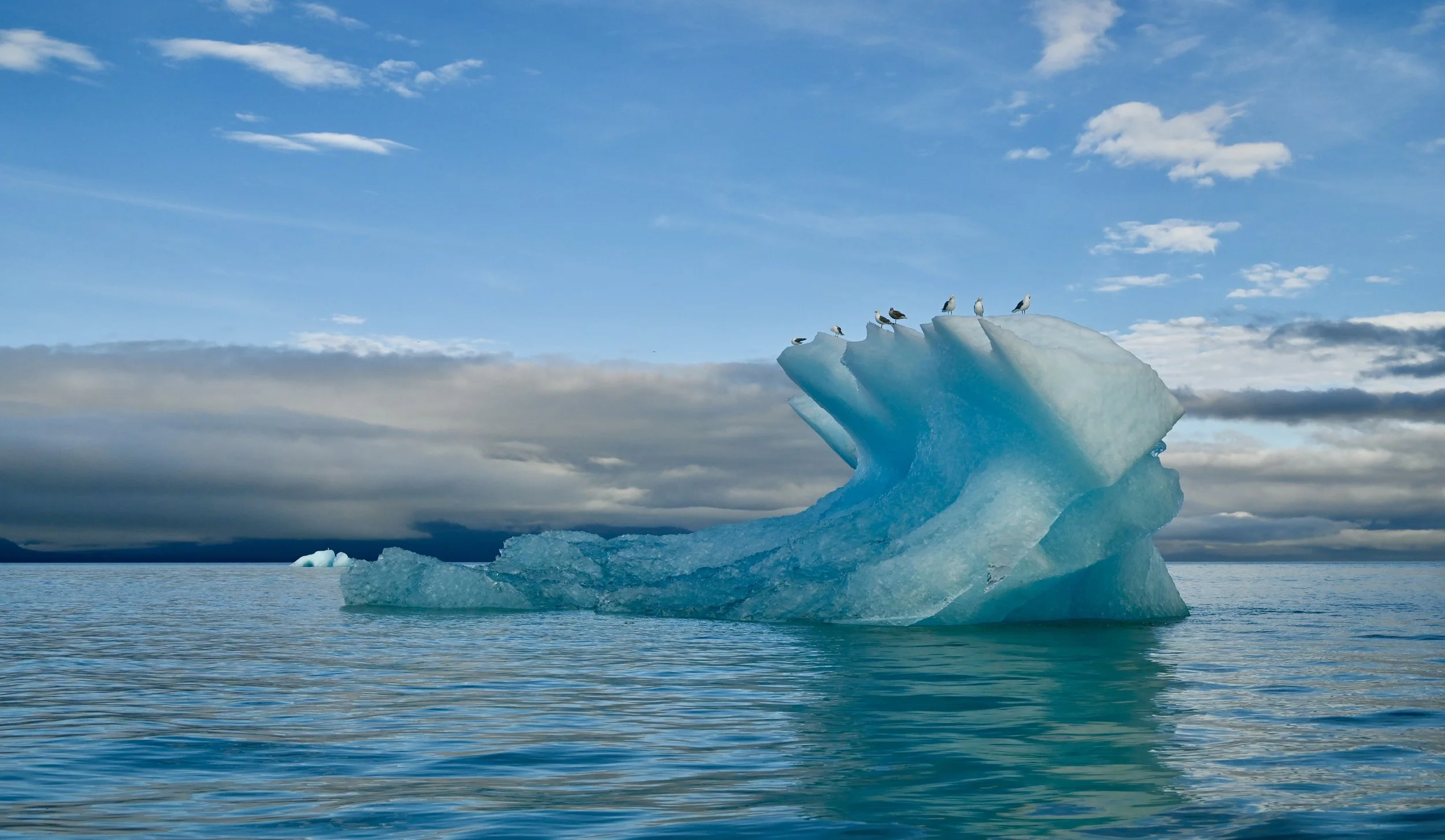 Seagulls perched on an iceberg floating in the ocean under a cloudy sky.