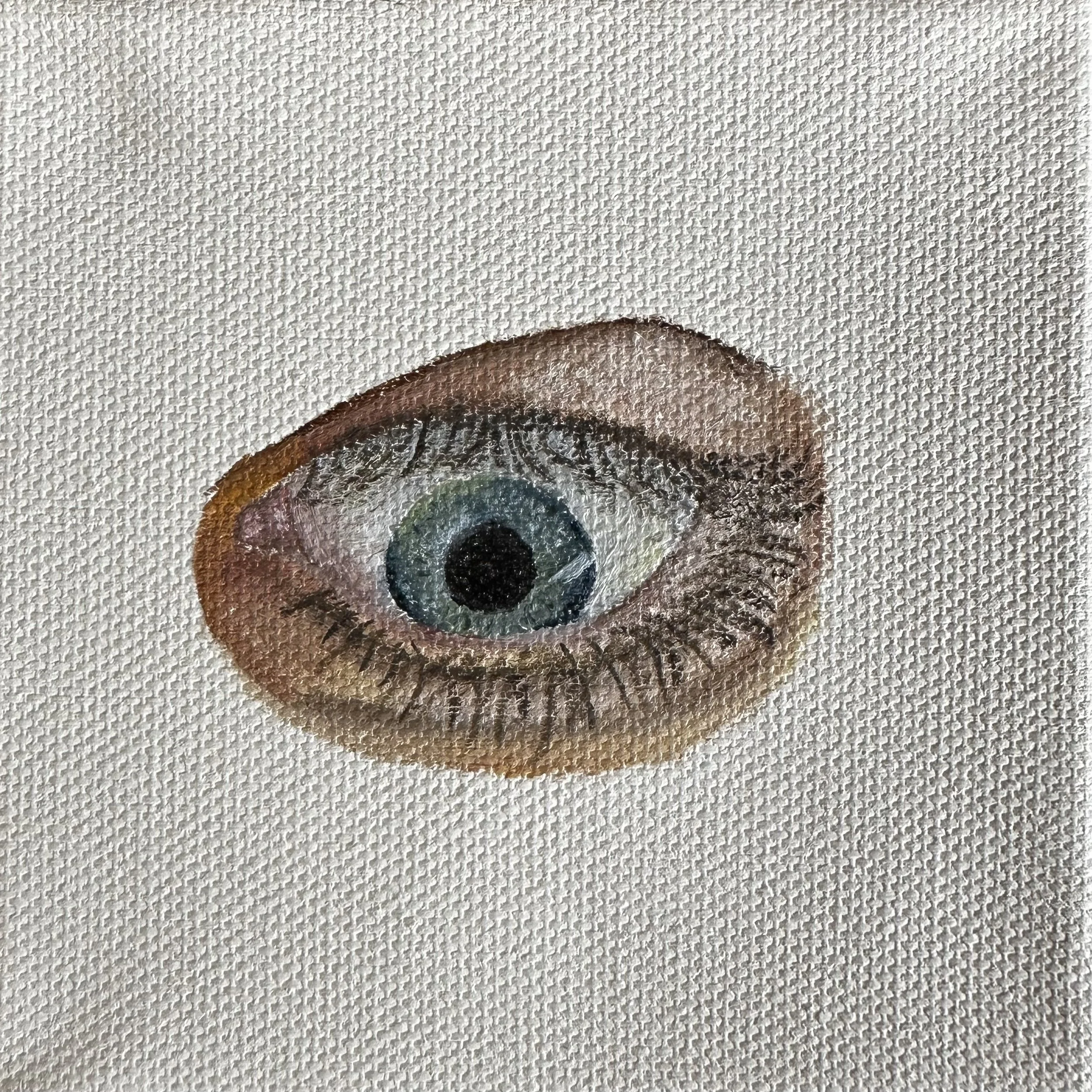 A close-up of an eye painted on textured canvas, showing detailed eyelashes, iris, and pupil.
