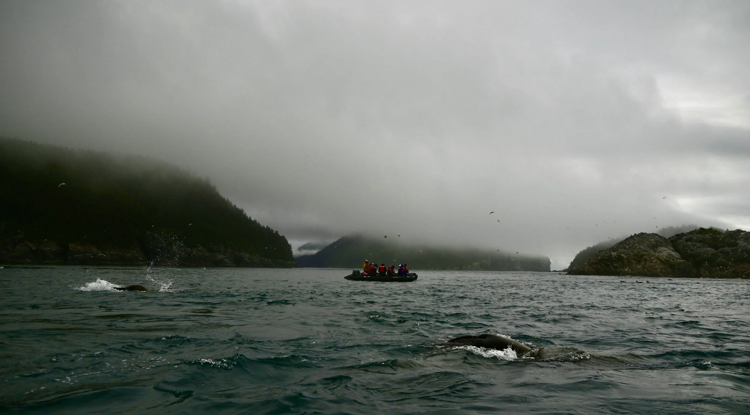 A group of people riding in a black inflatable boat on a large body of water surrounded by green, fog-shrouded hills and mountains, with a cloudy, overcast sky.
