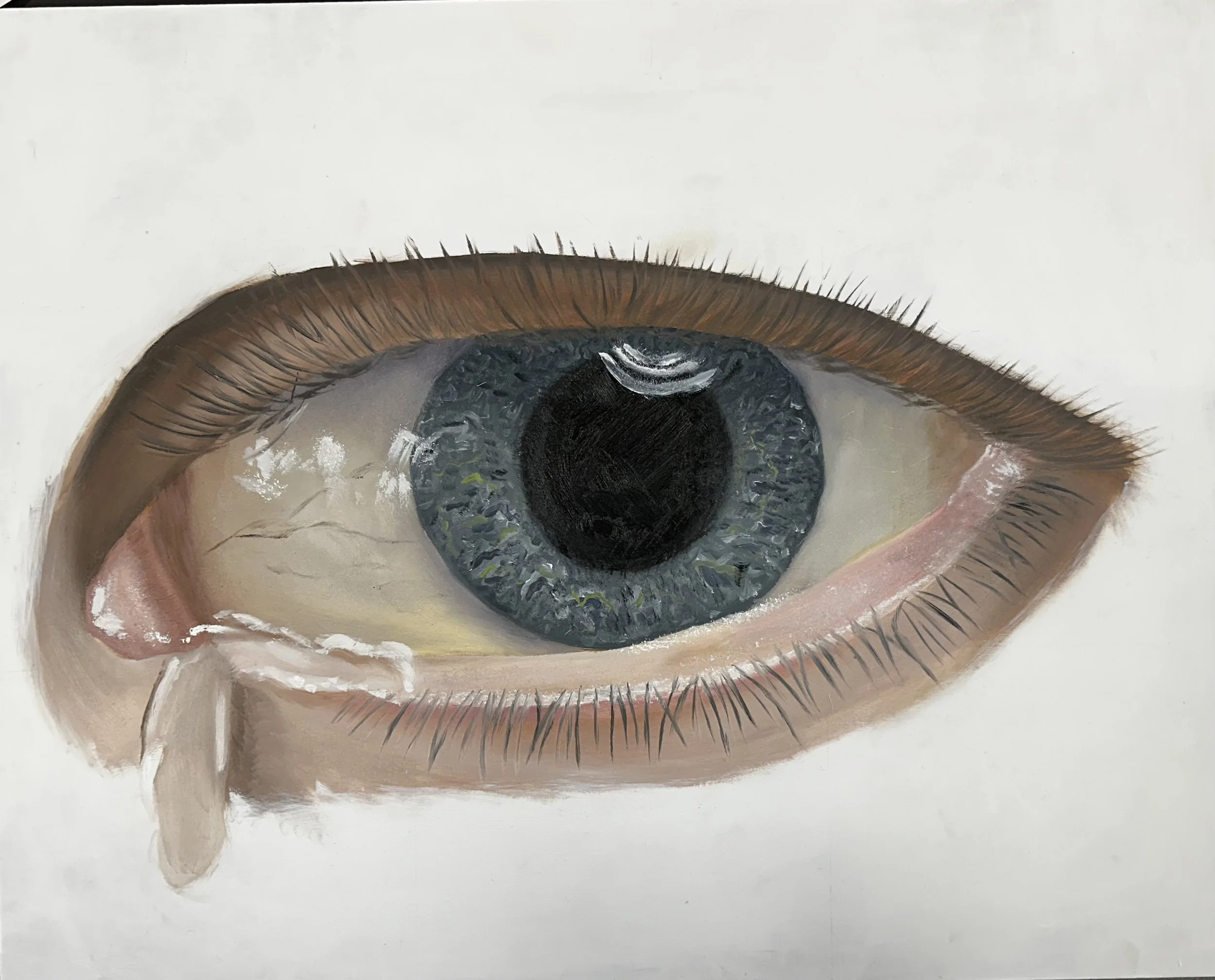 Close-up of a human eye, including the iris, pupil, and eyelashes, with detailed reflection and coloration.