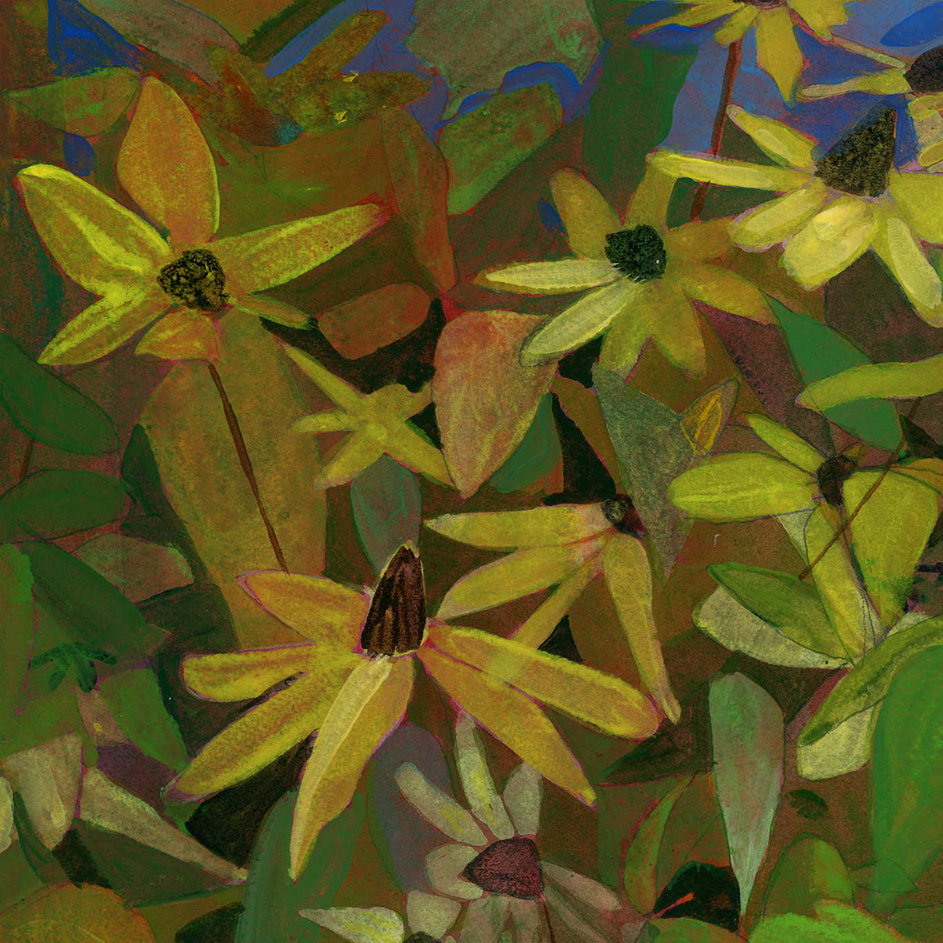 2025_12_rudbeckia-square-crop2.png