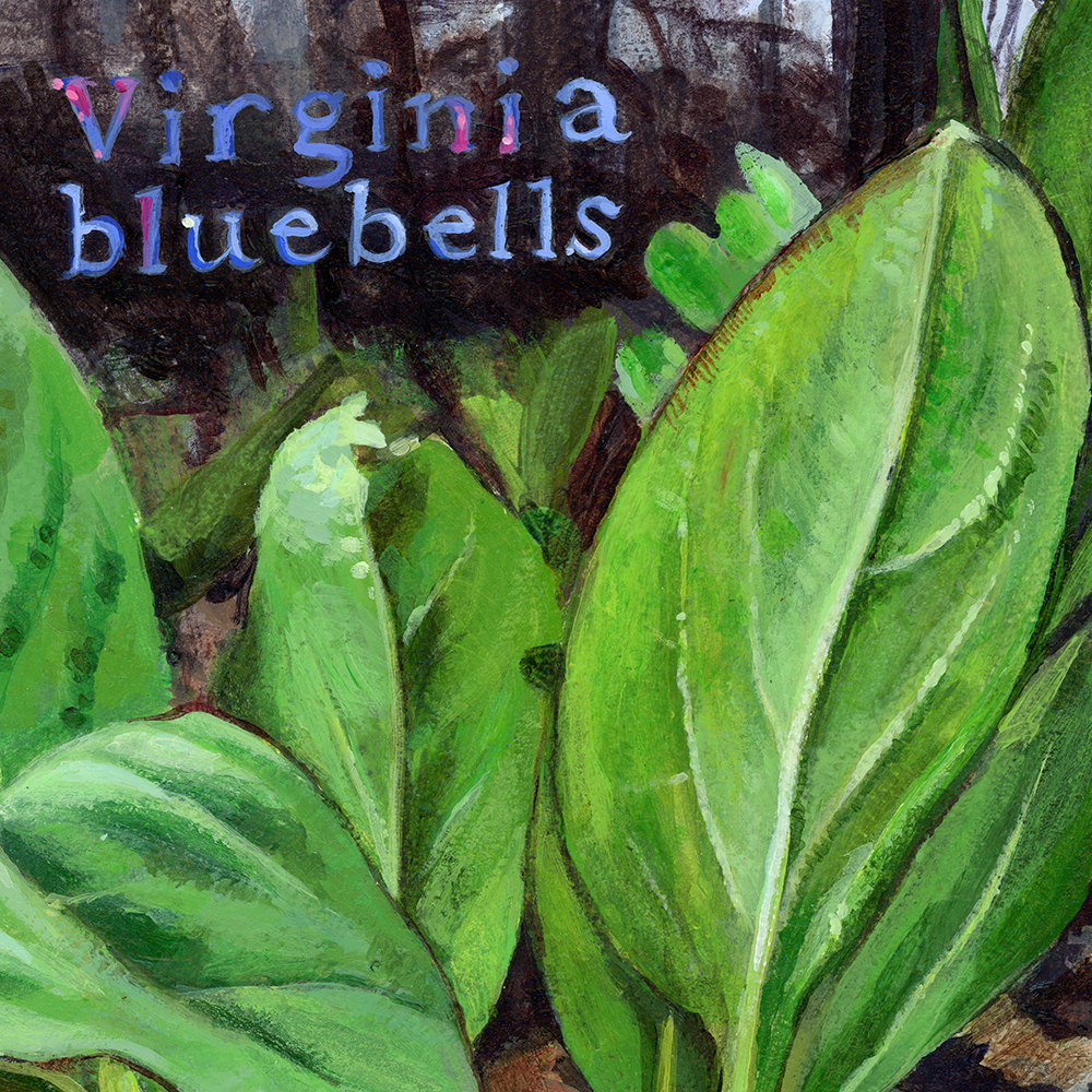 2026_09_Mertensia-crop2.png