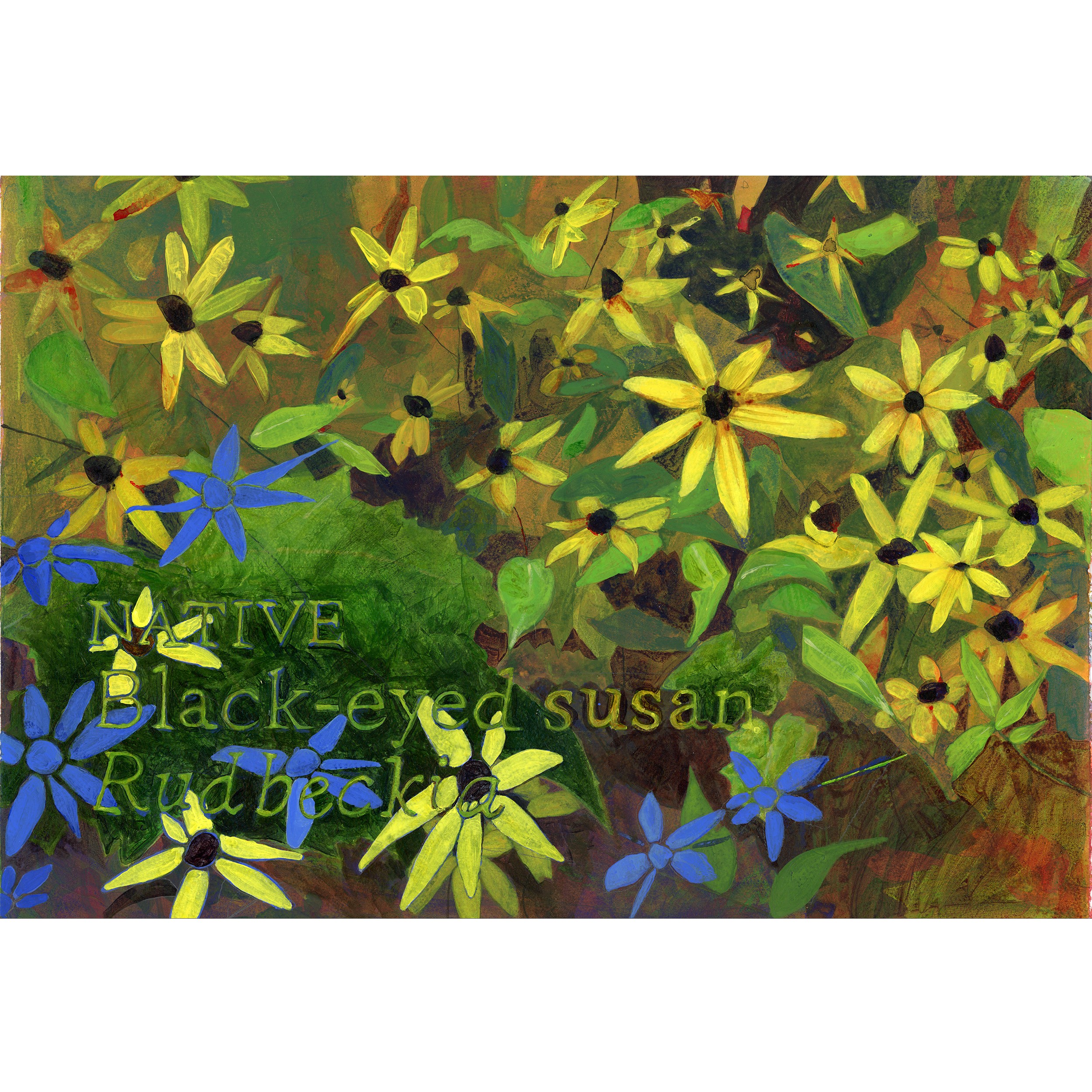 2026_06_rudbeckia-square.png