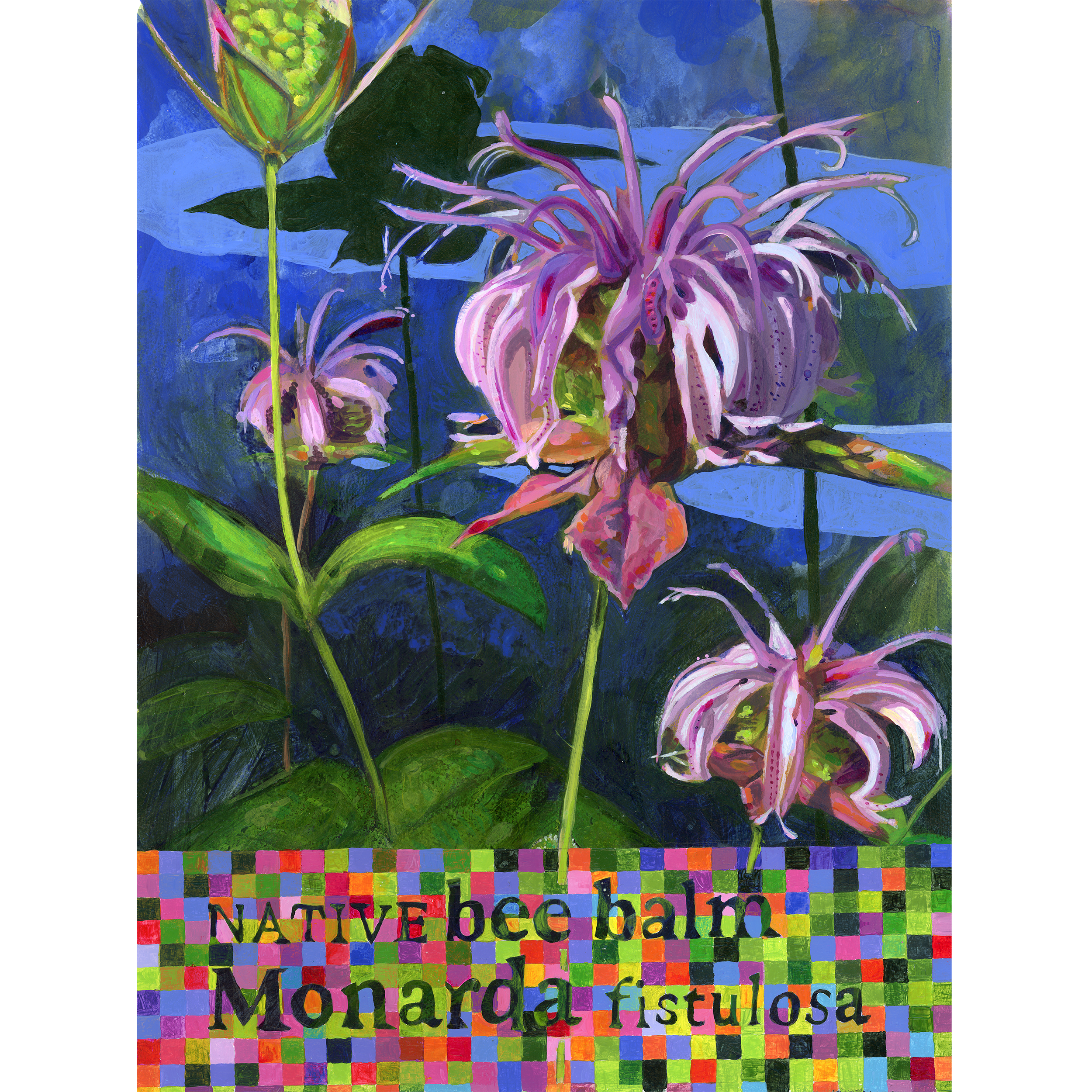 2026_05_mondarda_final-square.png