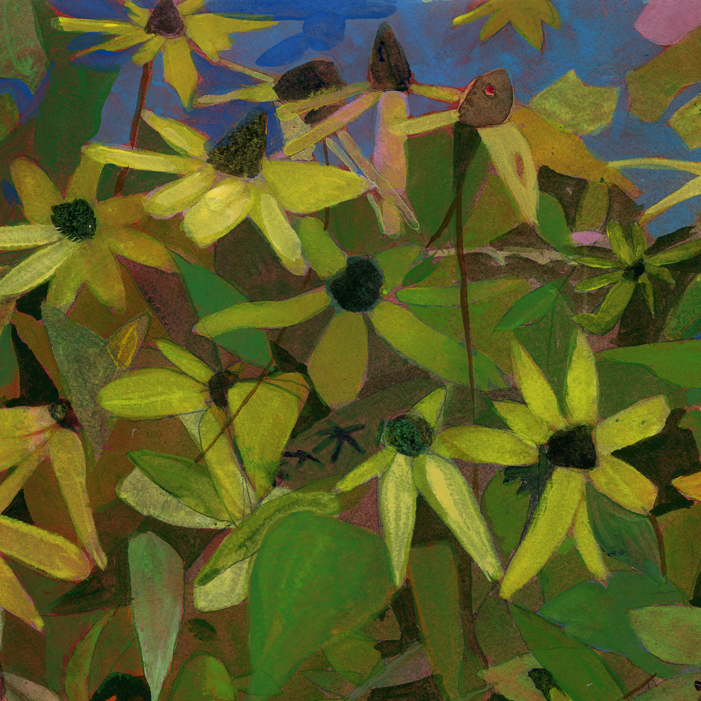 2025_12_rudbeckia-square-crop1.png