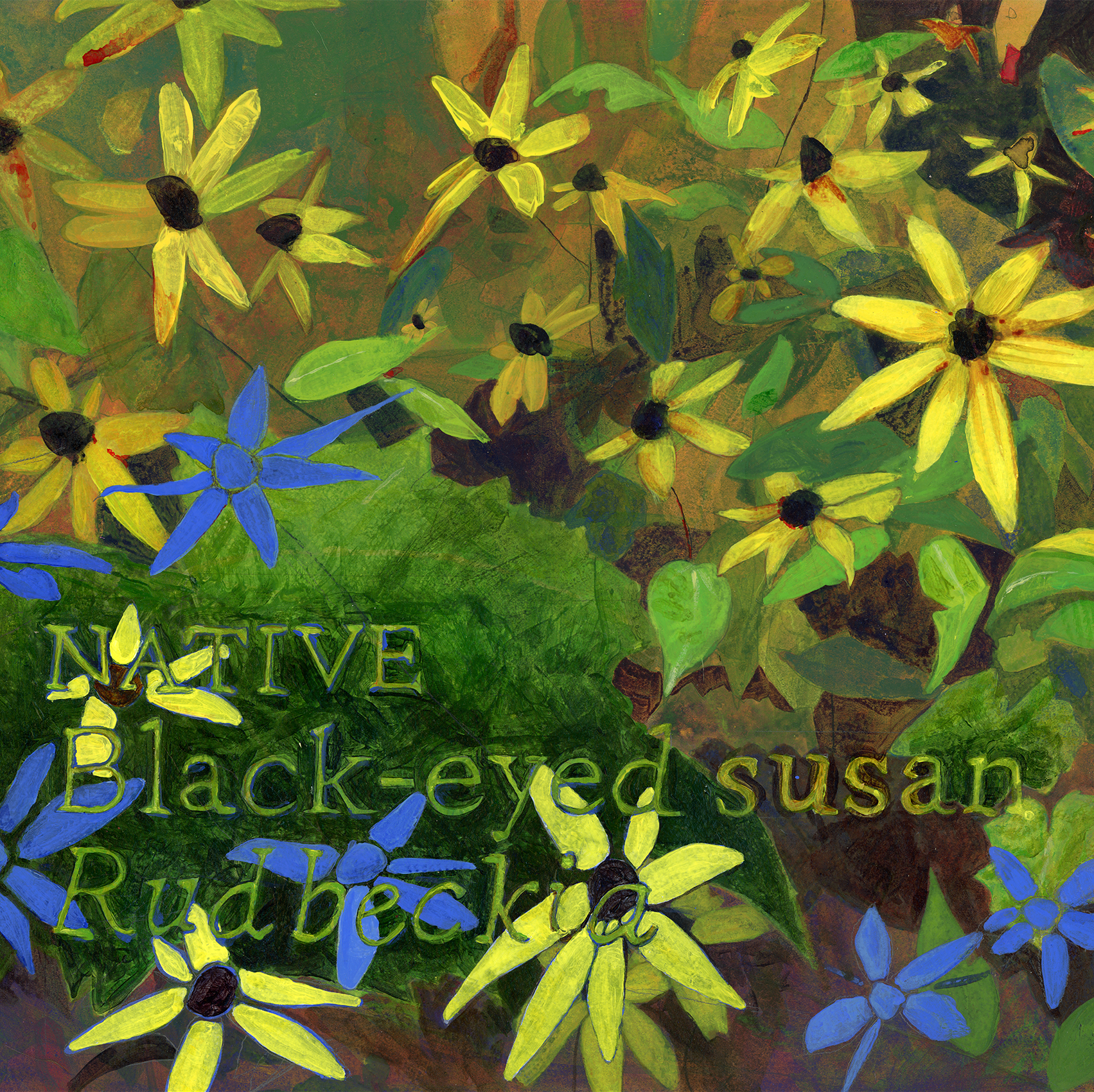 2026_06_rudbeckia-square-crop1.png