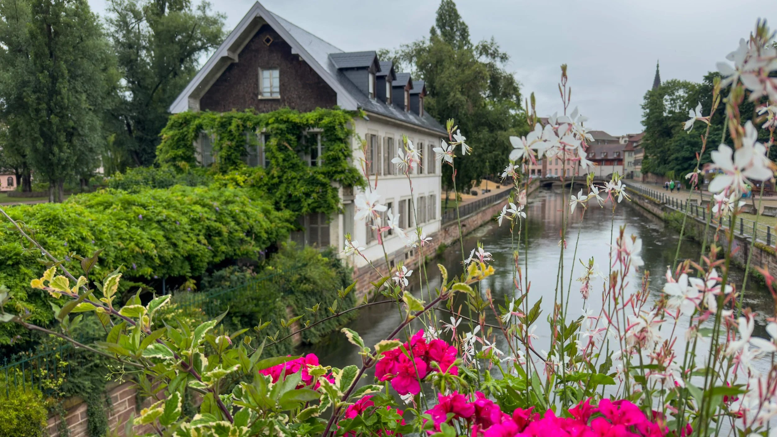 Germany River Cruise.jpg