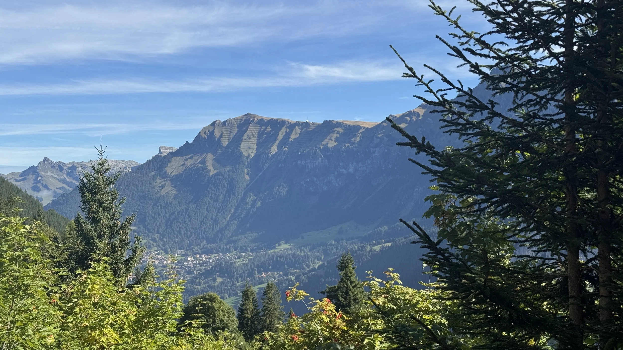 IMG_3048.JPEG