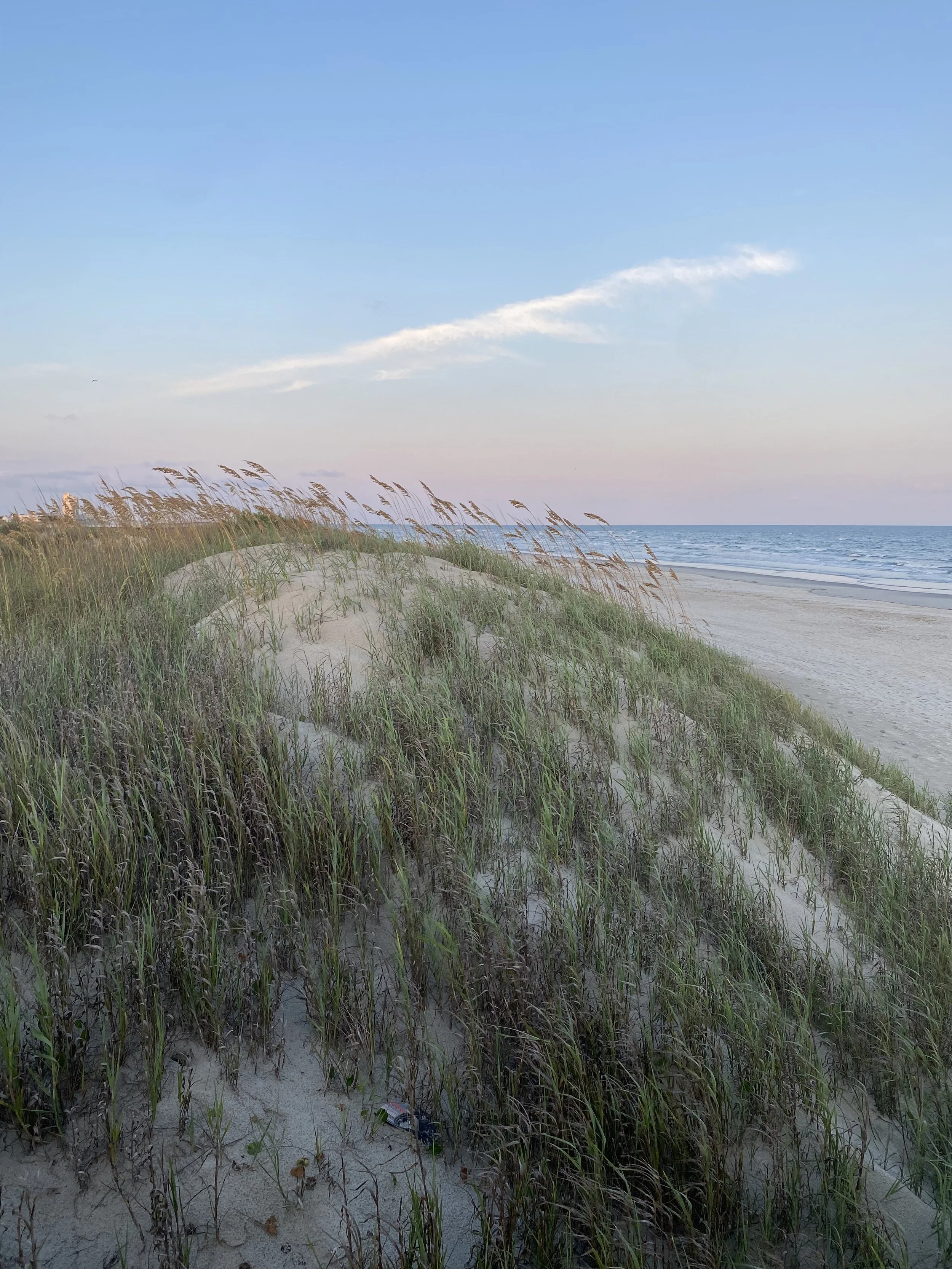 A sandy beach with tall grasses in the foreground, the ocean waves and a clear light sky in the background.