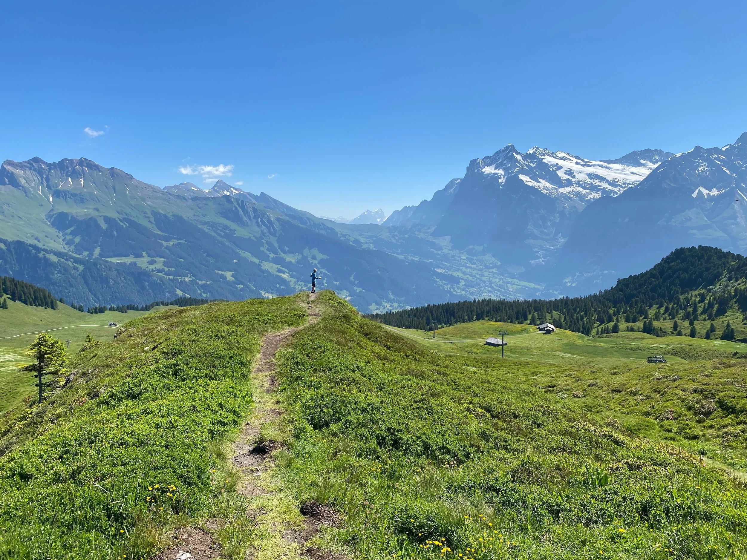 Person standing on a grassy hilltop overlooking snow-capped peaks in Wengen, Switzerland
