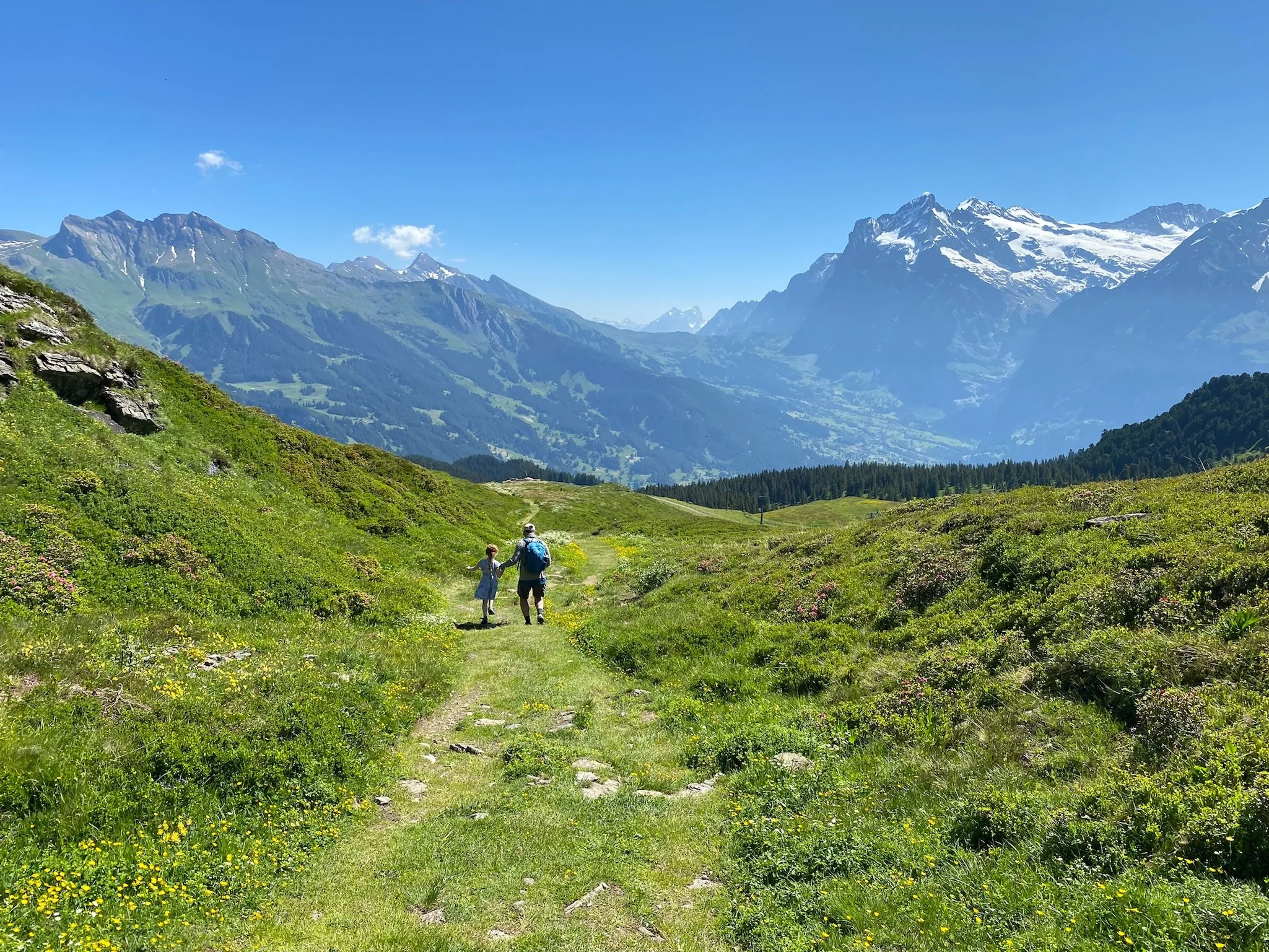 Two hikers with backpacks walking a mountain trail near Manlinchen Switzerland through a wildflower meadow